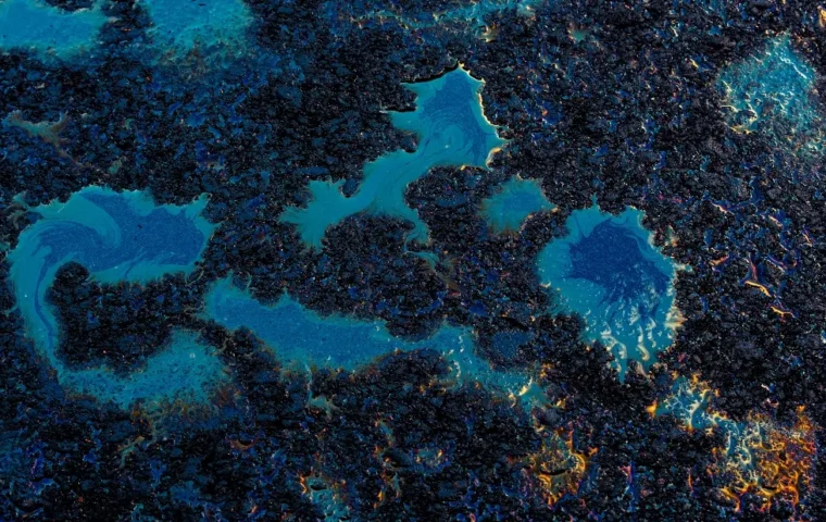 bacteria